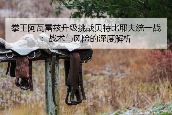 拳王阿瓦雷兹升级挑战贝特比耶夫统一战：战术与风险的深度解析